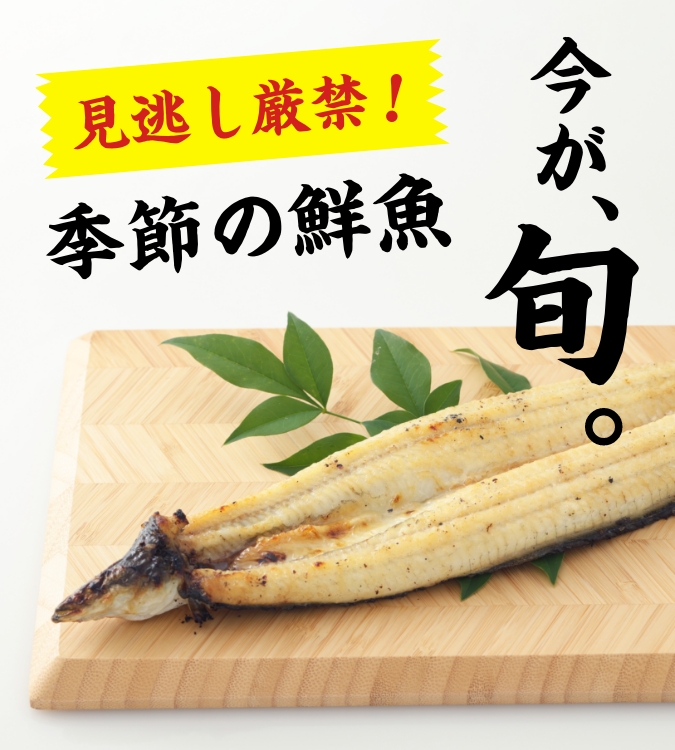 今が旬 季節の鮮魚